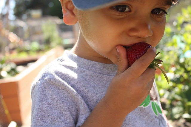 7619551746_fd75d7ca34_z